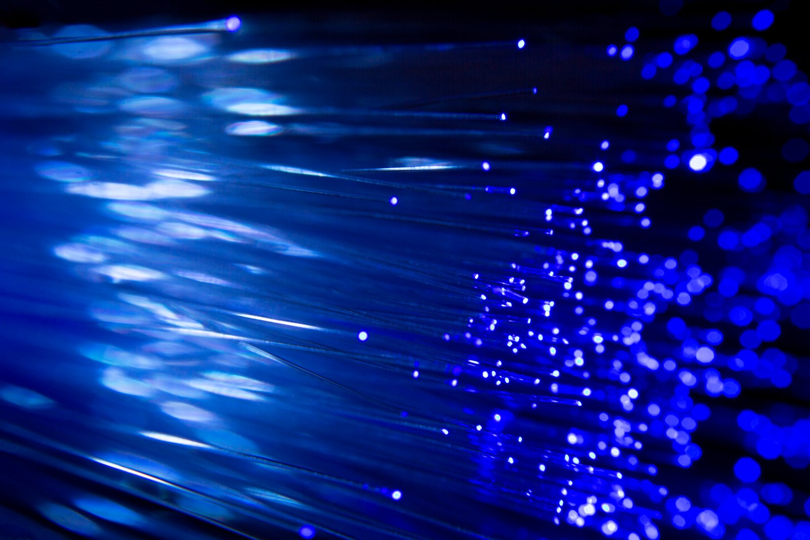 Fiber Optic